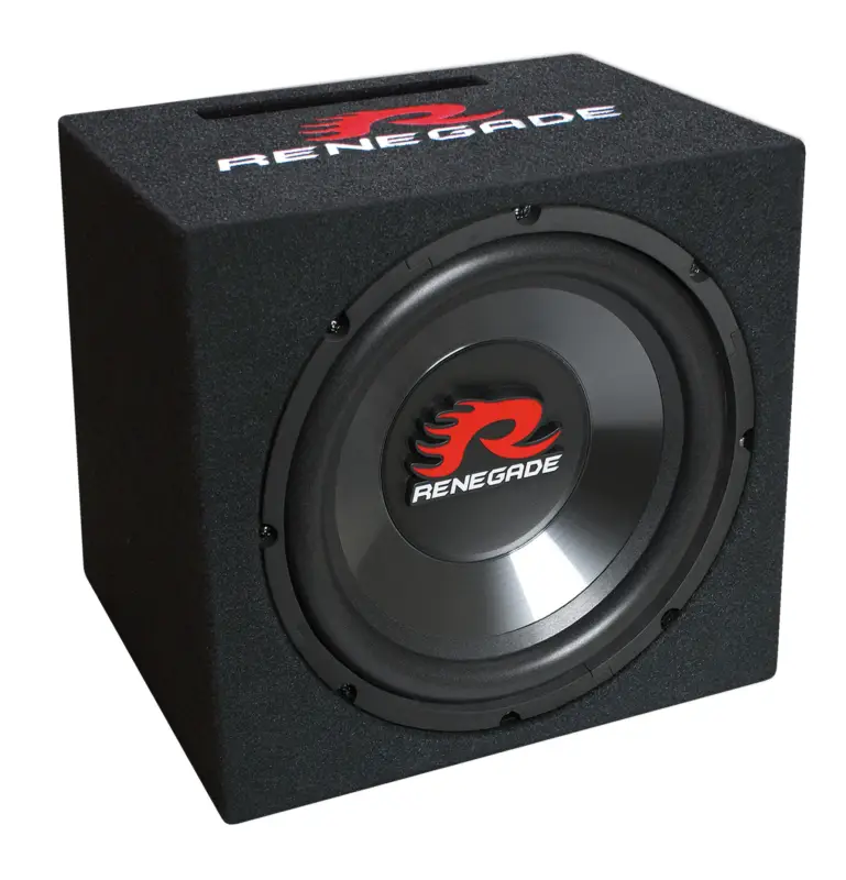 Highlight RENEGADE 25cm Bassreflex-Subwoofer 250/500 Watt Auto Bassbox Basskiste RXV1000