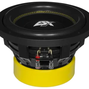 Jetzt Kaufen ESX QUANTUM QXE10D2 25cm 10" Car Bass Lautsprecher Subwoofer 1200 W.