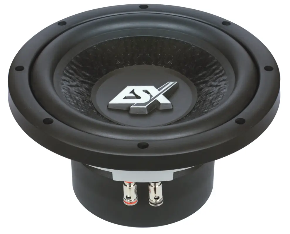 Finale Aktion ESX Signum SX840 20cm Woofer 300 Watt RMS 600 Watt MAX Subwoofer 8 Zoll Mini Sub