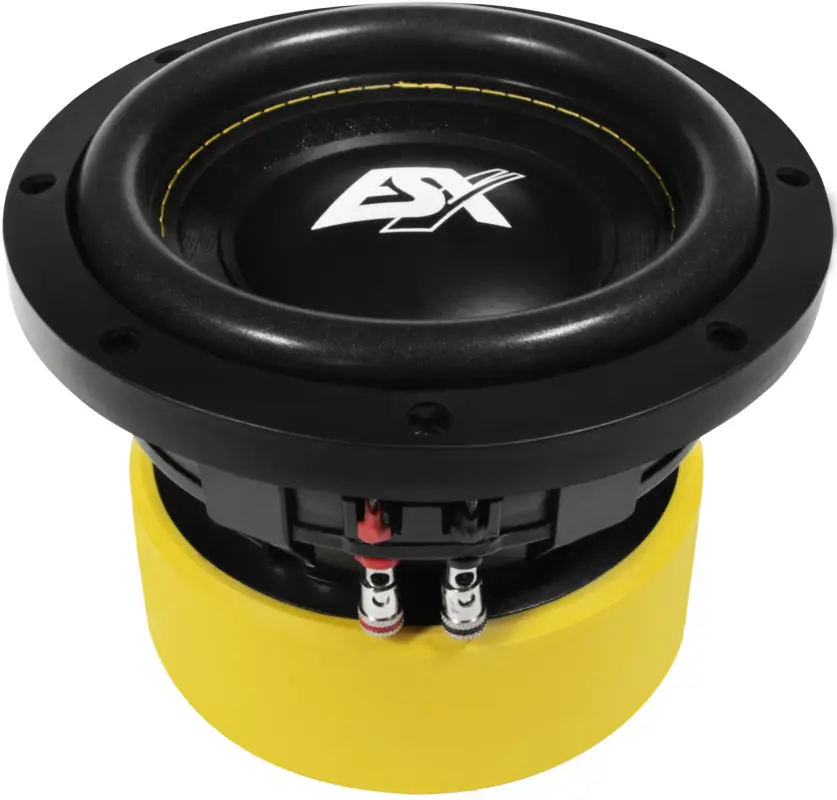 ESX QXE6D2 Subwoofer Chassis 165mm 2 x 2 Ohm Doppelschwingspule 250 Watt RMS 500 Top-Angebot