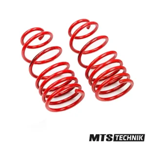 MTS Tieferlegungsfedern für Peugeot 106 II 1C GTI 16V 04/96 - 2004 Sichere Zahlung