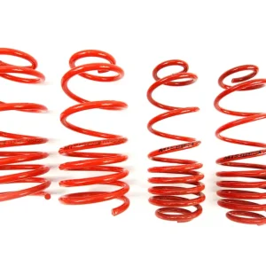 MTS Tieferlegungsfedern für Seat Toledo II 1M2 1M2 2.3 V5 1.9TDI Audi A3 8L 8L1 Sofort Bestellen