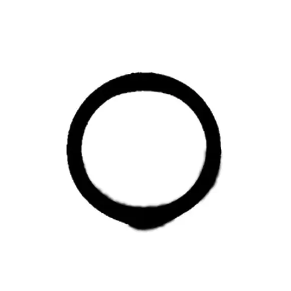 Super-Preis WAECO O-RING SET (10 STUECK)